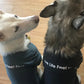 Xero T-Shirts